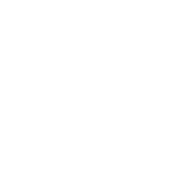 TechSupport MX